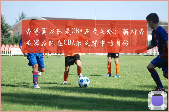 香港翼龙队是CBA还是足球:解析香港翼龙队在CBA和足球中的身份