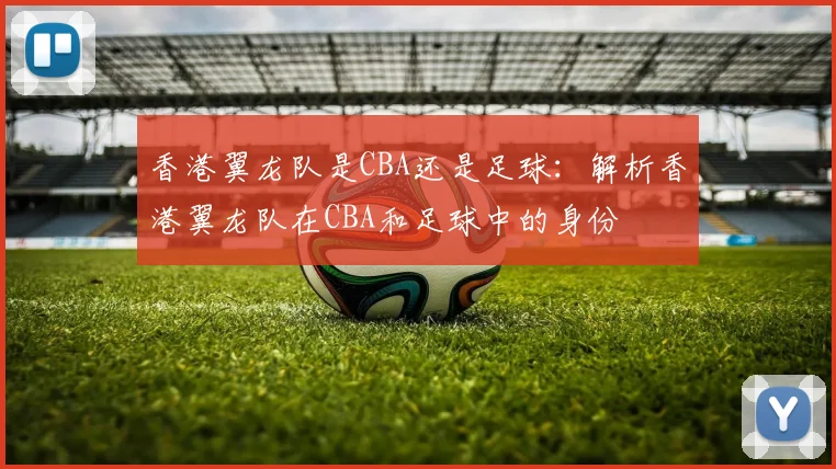 香港翼龙队是CBA还是足球：解析香港翼龙队在CBA和足球中的身份